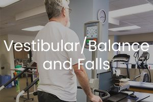 Vestibular Balance and Fall