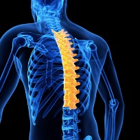 How to Unlock Your Thoracic Spine