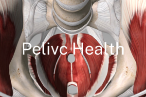 PELVIC HEALTH