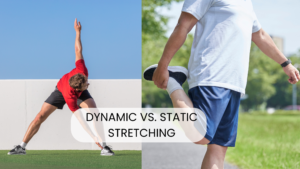 static and dynamic stretches